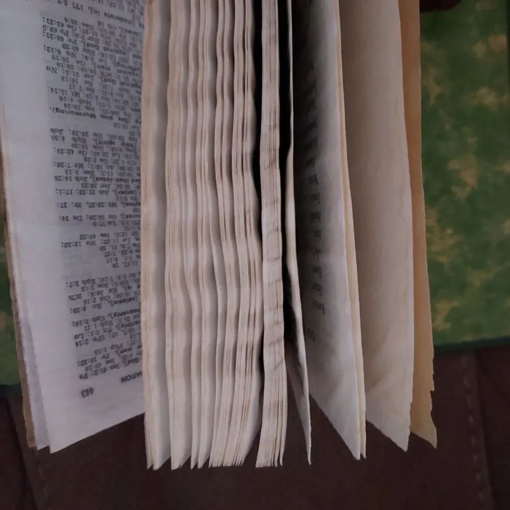 New World Translation of the Hebrew Scriptures - Picture 4 of 4